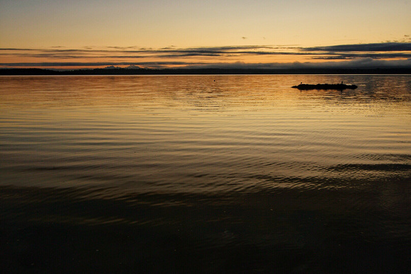 Port Ludlow 09